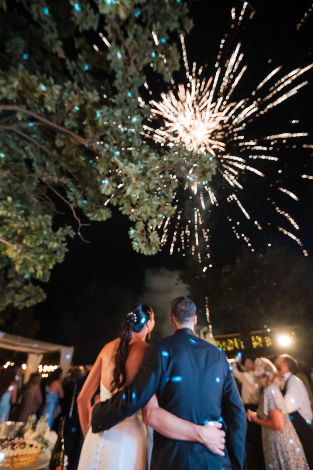 Fireworks over the party